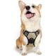thumbnail image 1 of Rabbitgoo Arnés para Perros, Arnés para Mascotas sin Tirones con 2 Clips para Correa, Chaleco para Perros Acolchado Suave y Ajustable, Chaleco Oxford Reflectante para Mascotas sin asfixia con asa de f, 1 of 4