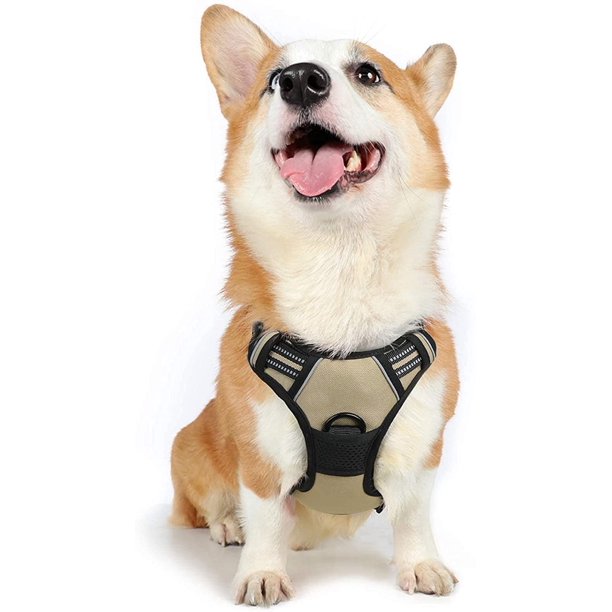 Rabbitgoo Arnés para Perros, Arnés para Mascotas sin Tirones con 2 Clips para Correa, Chaleco para Perros Acolchado Suave y Ajustable, Chaleco Oxford Reflectante para Mascotas sin asfixia con asa de f