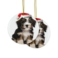 thumbnail image 2 of DistinctInk Hanging Ceramic Christmas Tree Ornament with Gold String - Great Gift/Present - 2 3/4 inch Diameter - Löwchen Puppy Design, 2 of 4
