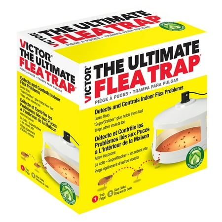 Victor The Ultimate Flea Trap (Best Spray To Get Rid Of Fleas In House)