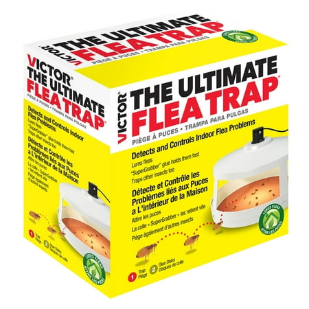 Victor The Ultimate Flea Trap (Best Flea Bombs With Igr)