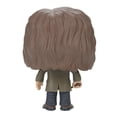 thumbnail image 3 of FUNKO POP! MOVIES: Harry Potter - Sirius Black, 3 of 8