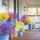 thumbnail image 5 of Flores artificiales TURNMEON para decoración de exteriores, 20 unidades, 5 of 7