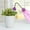 B, variant on Boreal Craft PP Watering Can For Garden And Yard Irrigation System Sprinkler Attachment Watering Sprinkler Pad for Babies Hose Bib Timer Small Sprinklers Water Hose Timer Walking Sprinklers for Water