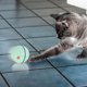 thumbnail image 5 of ABS USB carga inteligente LED luz brillante mascota gato jugando juguetes de bola rodante automáticos (verde), 5 of 5