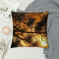 thumbnail image 2 of GOSMITH Throw Pillow Cover - Sunrise Aesthetic Lark Sun Branches Forest White, 2 of 5