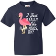 thumbnail image 3 of Inktastic I Just Really Like Flamingos Ok with Pink Flamingo Youth T-Shirt, 3 of 5