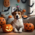 thumbnail image 3 of TIELUTT Halloween Pet Hat Cartoon Bat Hat Puppy Hat Pet Clothes for Medium Dogs Easter Pet Clothes Rack Pet Clothes for Large Dogs Female Pet Clothes for Small Dogs Pet Clothes for Medium Dogs Summer, 3 of 3