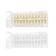 thumbnail image 1 of 2 Sets of 480PCS Pointed Head Nail Color Mold Manicure Practice Nail Template Fake Nails Practice Mold Fake Nails Training Pieces for Woman (Transparent Frosted+Natural Color Assorted Color), 1 of 9