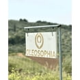 thumbnail image 5 of Oleosophia November Harvest Extra Virgin Olive Oil, 500 ml – Greek Manaki & Megaritiki Blend, 5 of 5