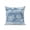 Mist Blue, variant on 1 Pack Outdoor Throw Pillow, Brown Beige Coastal Waterproof Pillow with Insert Included, Nautical Coral Starfish Shell Turtle Summer Decorative Accent Cushion Sofa Pillows for Patio Porch, 16 x 16 In