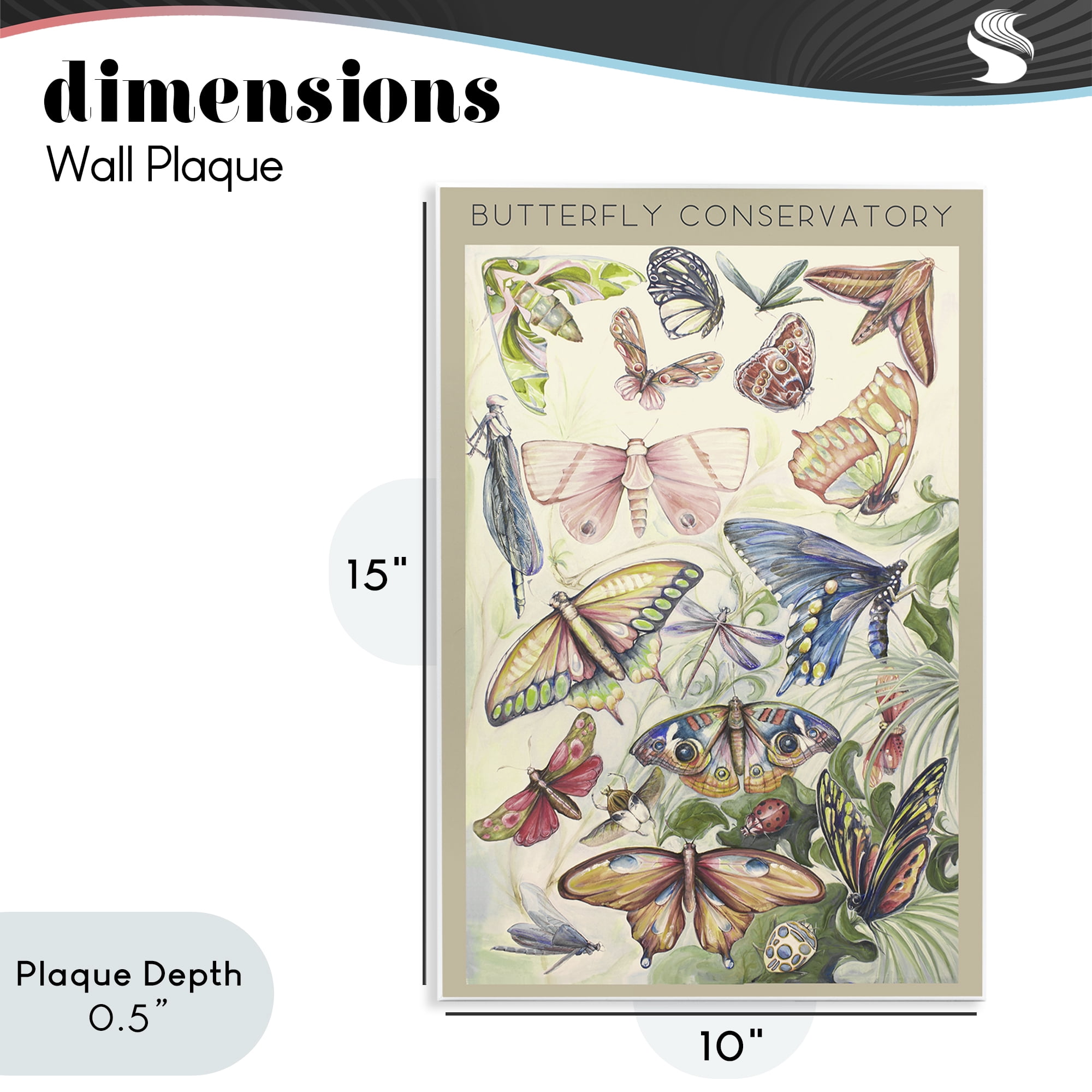 Stupell Industries Butterfly Conservatory Insects Wall Plaque Art, design by Diannart