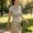 Gray, variant on Tops for Women V-Neck Slim Fit Solid Color Short Sleeve Waist Defining Shirt White S