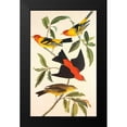 thumbnail image 2 of Audubon, John James 10x14 Black Modern Framed Museum Art Print Titled - Louisiana Tanager, Scarlet Tanager, 2 of 5