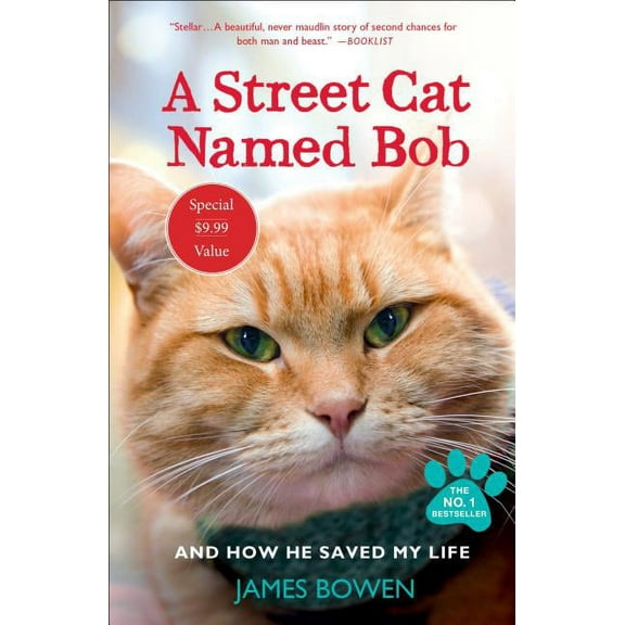 A Street Cat Named Bob : And How He Saved My Life