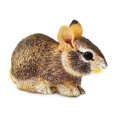 thumbnail image 7 of Safari Ltd. Eastern Cottontail Rabbit Baby Figurine - Lifelike 4.25" Model Figure - Educational Toy for Boys, Girls, and Kids Ages 18M+, 7 of 7