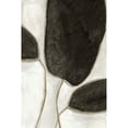 thumbnail image 3 of PI Studio 13x18 Black Modern Framed Museum Art Print Titled - Leaves Like II, 3 of 5