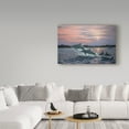 thumbnail image 3 of Trademark Fine Art 'Dolphins' Canvas Art by Wilhelm Goebel, 3 of 3