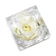 thumbnail image 1 of Amdohai Vraie Fleur de Rose Préservée dans une Boîte Transparente Rose Éternelle Parfumée, 1 of 7