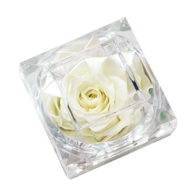Amdohai Vraie Fleur de Rose Préservée dans une Boîte Transparente Rose Éternelle Parfumée