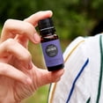thumbnail image 2 of Edens Garden Lavender-French Essential Oil- 100% Pure Premium Grade, Undiluted, Natural, Therapeutic, Aromatherapy, The Best for Diffuser, Face, Laundry, Kid Safe 118 ml (4 fl oz), 2 of 9