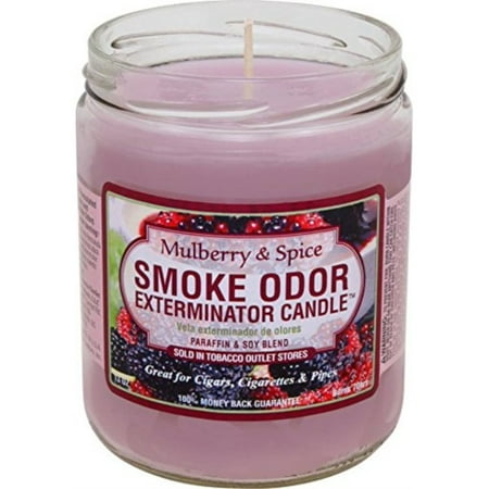 Odor Neutralizing Kitchen Candle - Smoke Odor Exterminator Mulberry and Spice 13oz by Smokers Candle, 13 oz