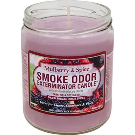 Smoke Odor Exterminator Mulberry and Spice 13oz by Smokers Candle, 13 (Best Candle To Eliminate Cooking Odors)