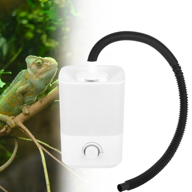 Chameleon humidifier 2025