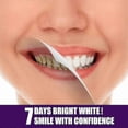 thumbnail image 5 of V34 Purple Tone Tooth Bru, 5 of 5