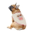 thumbnail image 5 of Merry & Bright Gingerbread Hot Cocoa Matching Family Christmas Pajamas With Dog, Beige & Pink Holiday PJs, Plus Sizes, With Pockets, 5 of 7