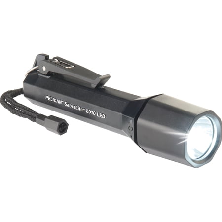 UPC 019428105334 product image for Pelican 2010-016-110 2010 Large Submersible LED Flashlight | upcitemdb.com