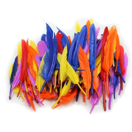UPC: 0026487630806 | CLN Charles Leonard Creative Arts Duck Quill Feathers Assorted Colors 3 – 5 CHL63080