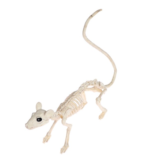 Crazy Bone esqueleto de cuervo de animales de plástico, decoración de Horror para Halloween, utilería de pájaro, Cuervo, decoración