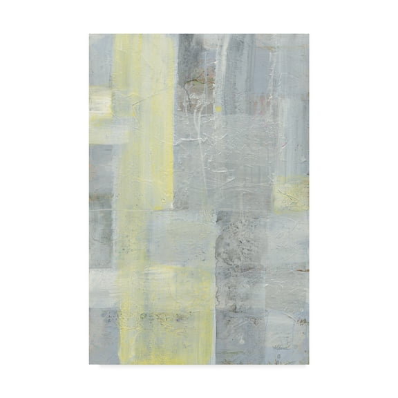 Trademark Fine Art 'Patchwork Abstract II' Canvas Art by Albena Hristova