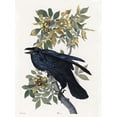 thumbnail image 2 of Stellar Design Studio 15x18 White Modern Wood Framed Museum Art Print Titled - Vintage Crow 2, 2 of 4