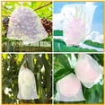thumbnail image 1 of Peggybyg Fruit Grow Mesh Bag Plants Protection Bags Agricultural Pest Control Anti-Bird, 1 of 7