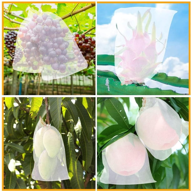 Bolsa de malla Bolsas de protección de plantas Control de plagas agrícolas Anti-Bird Insect Gard