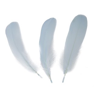 50pcs White & Black & Pink Goose Feathers 15-20cm Natural Feather for a  Variety of Crafts and Apparel 