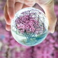 thumbnail image 6 of Collectibles Sphere Clear/Pink/Purple Crystal Ball Glass Quartz Stone Healing Gemstone PURPLE 30MM, 6 of 8