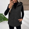 thumbnail image 2 of Cmfcve Plus Size Hooded Puffer Vest for Womens Full Zip Sleeveless Quilted Vest Winter Warm Outerwear Jackets with Zipper Pockets, 2 of 7