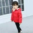 thumbnail image 5 of Toddler Winter Warm Coats Boys Girls Fleece Hooded Jackets Zipper Tops Snow Clothes 1-6Y, 5 of 6