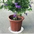 thumbnail image 7 of Plant Saucer Pot Tray 4 6 8 10 12 Inch, 6 Packs Plastic Flower Planter Saucers for Indoors Outdoors, Thick Heavy Sturdy Durable Plant Plate Water Catcher with Matte Non-Slip (12 Inch White), 7 of 7