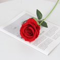 thumbnail image 1 of Flannel Roses, Silk Flowers, Fake Flowers, 1 of 1