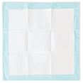 thumbnail image 2 of Great Value Training Pads,Regular 50 Pads, 2 of 4