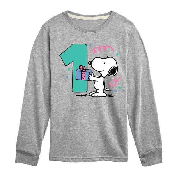 Peanuts - Snoopy and Friends Birthday - Toddler and Youth Long Sleeve Graphic T-Shirt