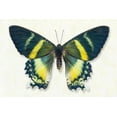 thumbnail image 2 of Reynolds, Richard 14x11 White Modern Wood Framed Museum Art Print Titled - Alcides Orontes, 2 of 4