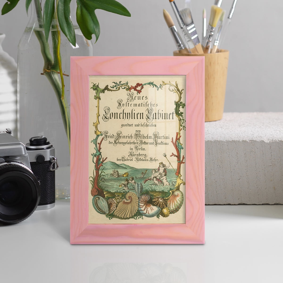 Cabinet of Conchology -Framed Print w/glass-Sunset Pink