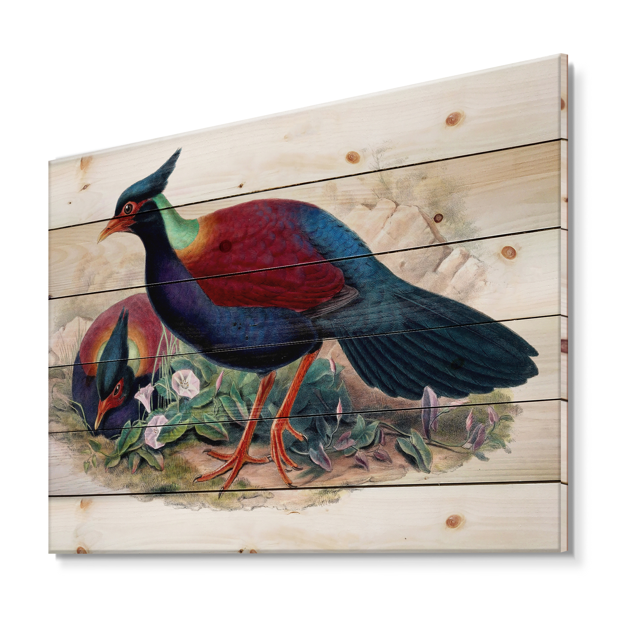 Designart 'Ancient Birds In The Wild II' Traditional Print on Natural Pine Wood