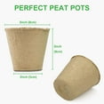 thumbnail image 2 of GROWNEER 120 Packs 3 Inch Peat Pots Plant Starters for Seedling with 15 Pcs Plant Labels, Biodegradable Herb Seed Starter Pots Kits, Garden Germination Nursery Pot, 2 of 7