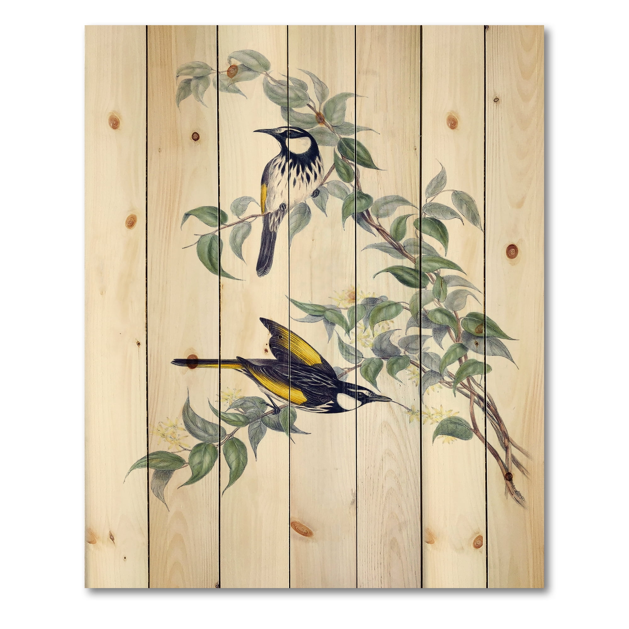 Designart 'Ancient Australian Birds On A Branch' Traditional Print on Natural Pine Wood